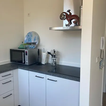 Close To The Modern Oranje Boven 잔드보르트