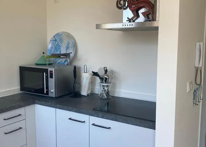 Close To The Modern Oranje Boven Zandvoort